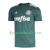 Divisa di Calcio Palmeiras Prima 2018/2019